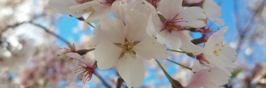 kbherson's profile banner image