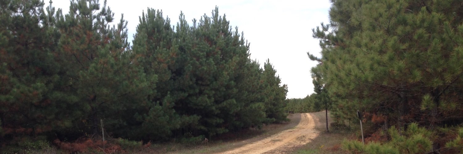 benbearden's profile banner image