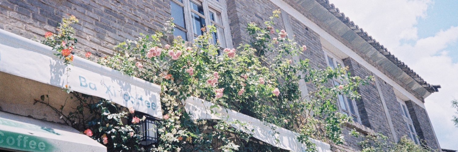桃zhi banner