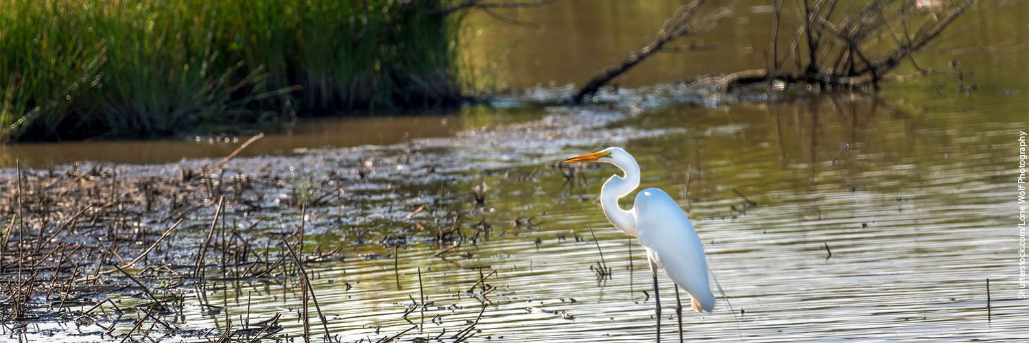 Environment Maryland banner