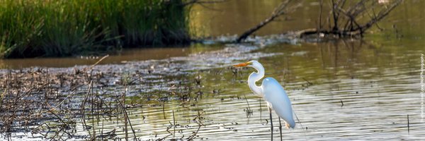 EnvironmentMD Profile Banner