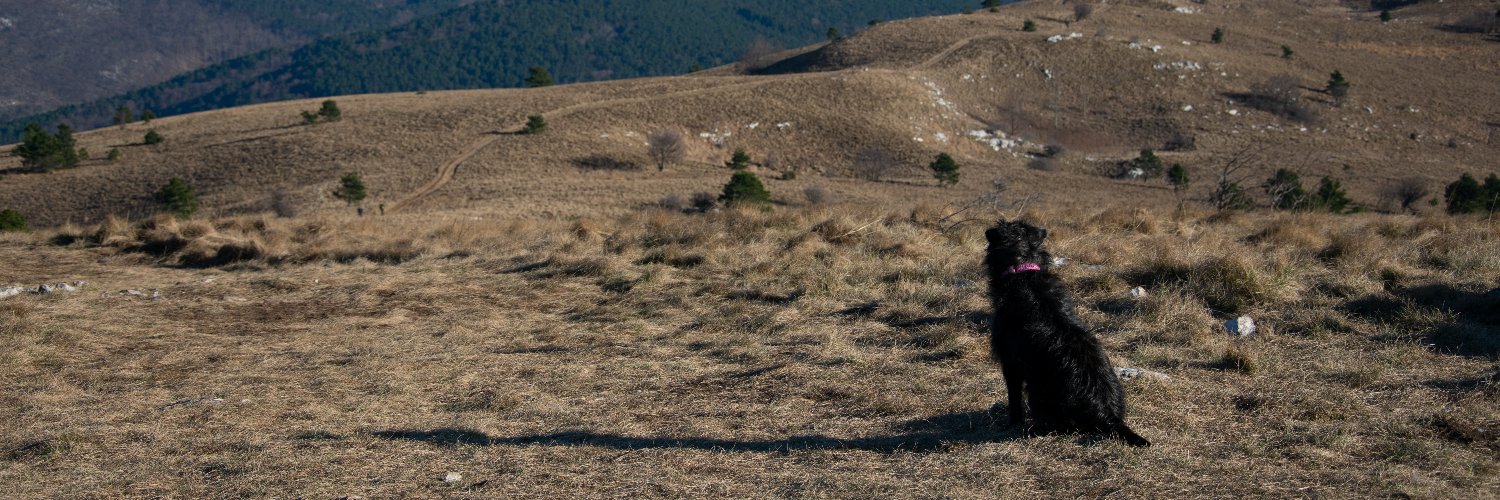 UnaBam's profile banner image