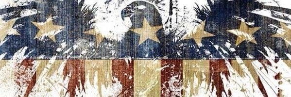 MSWarHog's profile banner image