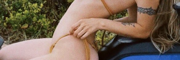 larihammer's profile banner image