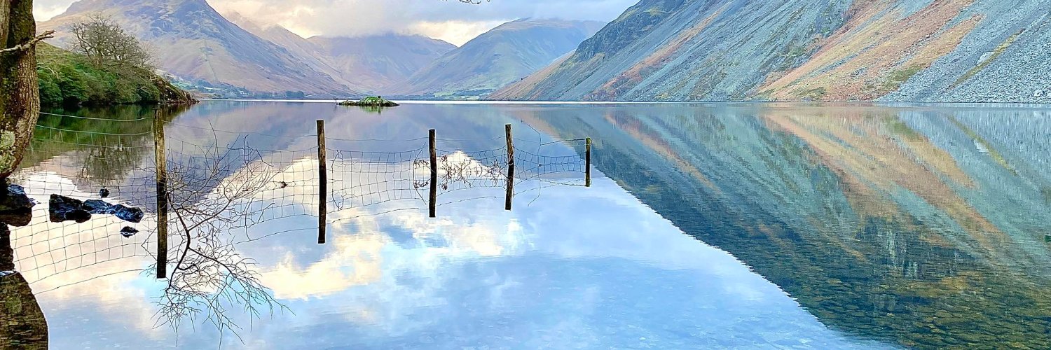 TurquoiseReform's profile banner image