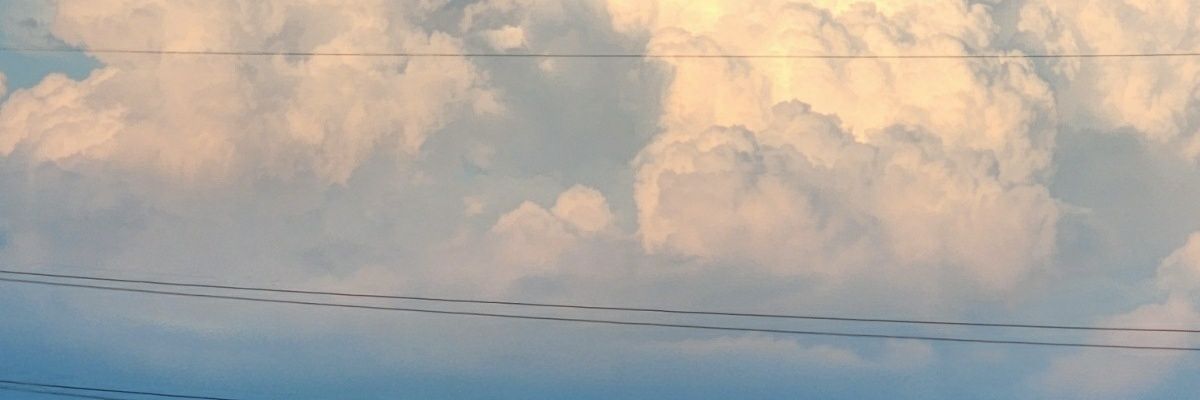 유설 banner