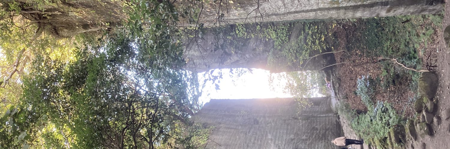 nt_cjx's profile banner image