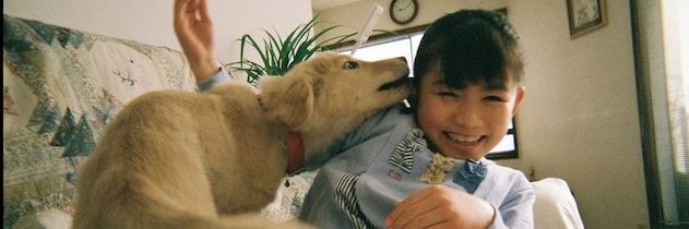chocomintooo123's profile banner image