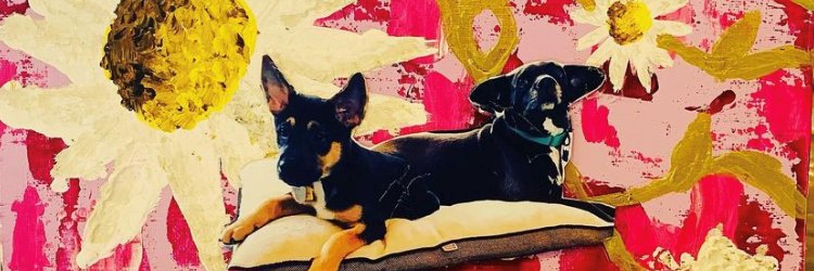 Kristen Sullivan banner