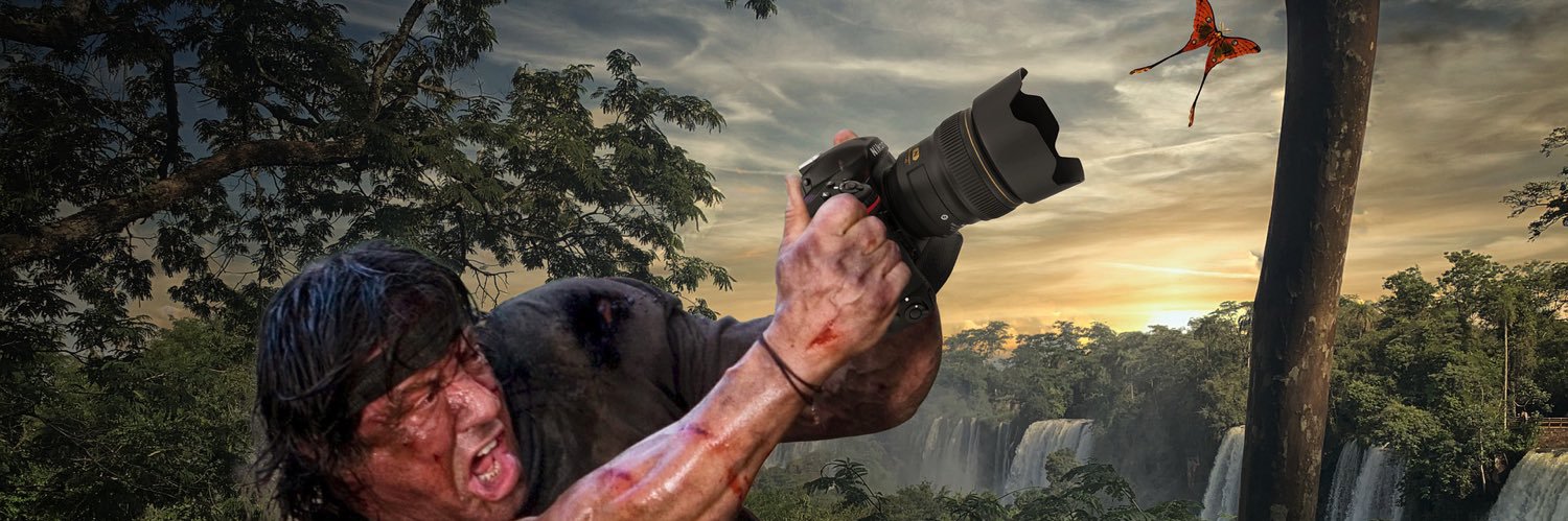 NCBallard's profile banner image