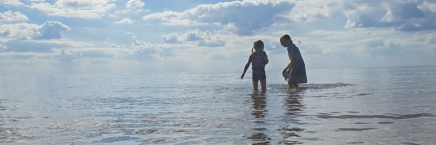 NATASHA HAMILTON banner