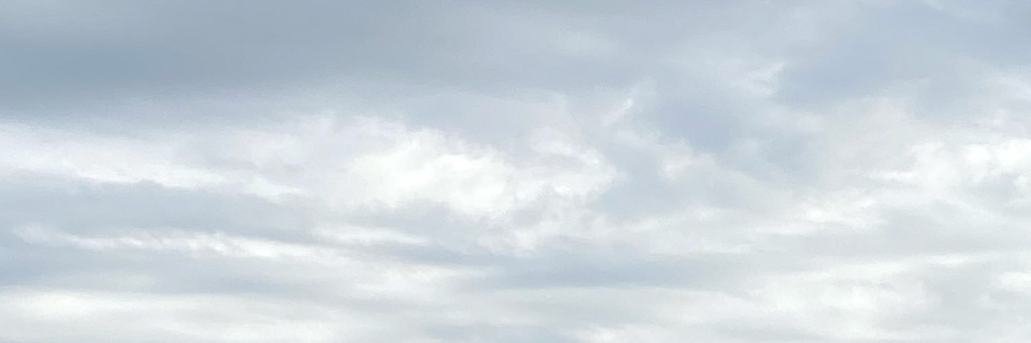 こけら@取引用【ぼちぼちグッズ整理】 banner