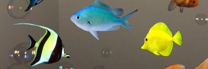 viiiii🐟🐬🪼 banner