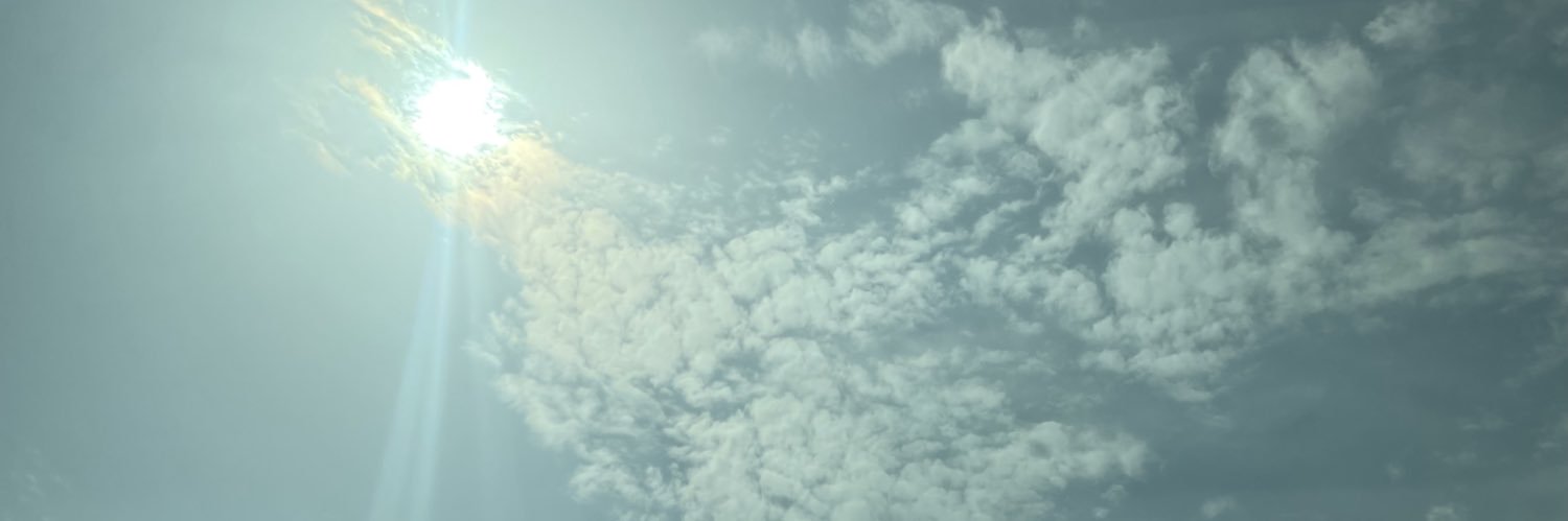 zaden banner