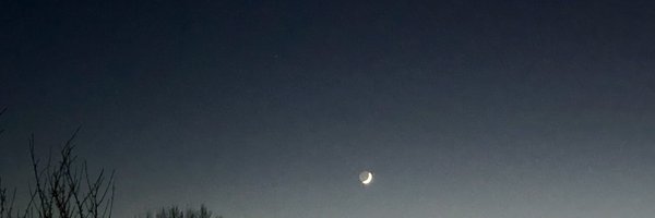 GingerAle40 Profile Banner
