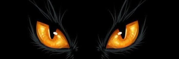 _chizimwise Profile Banner