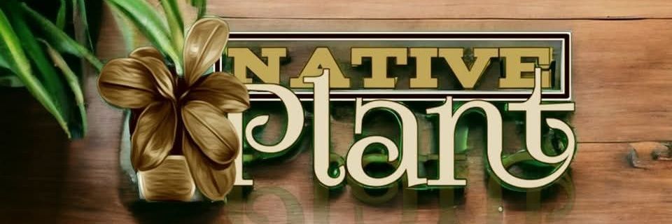 nativeplant13's profile banner image