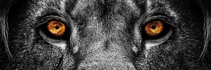 Call_me_id's profile banner image