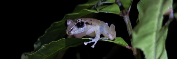 icecoldwt Profile Banner