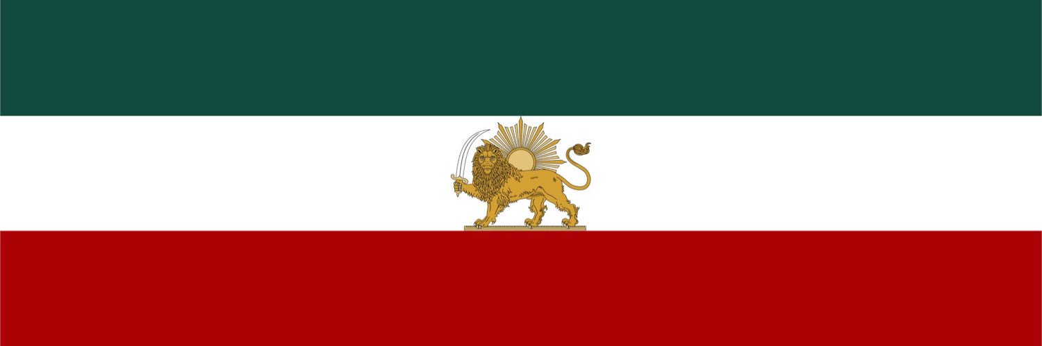 Ali Dadpay 🇺🇸 🇮🇷 banner