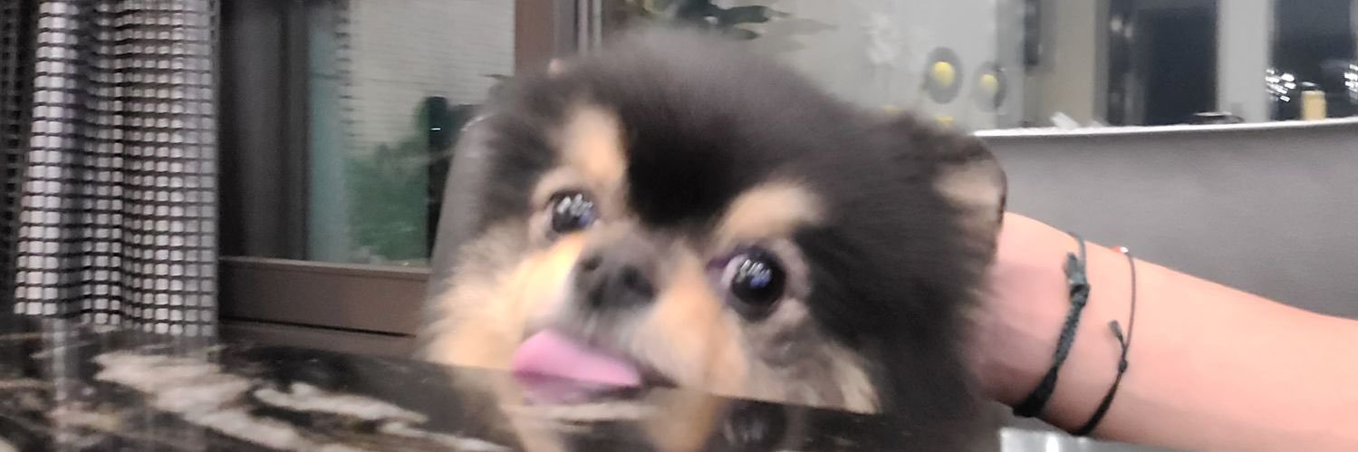 betül⁷ ⊙⊝⊜ banner