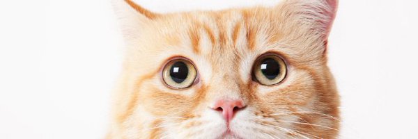 H_Lab1 Profile Banner