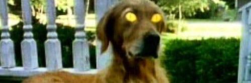 danssocooldude's profile banner image
