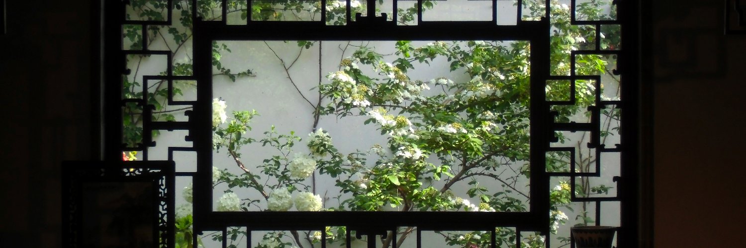 Zyl1533680's profile banner image