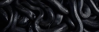 Axel Perrís banner