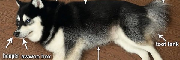 alphakenebody Profile Banner