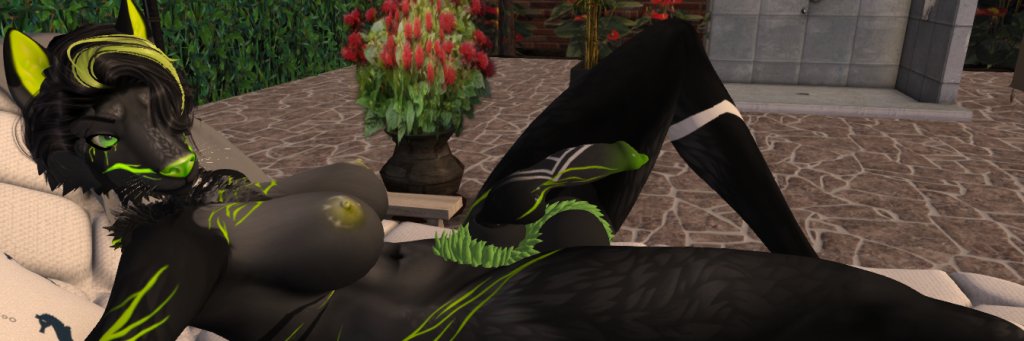 ALEXIONI banner