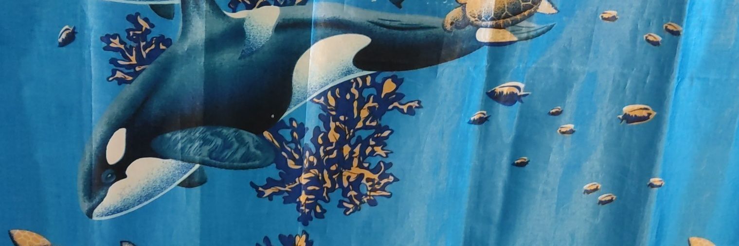 GrapeMorado's profile banner image