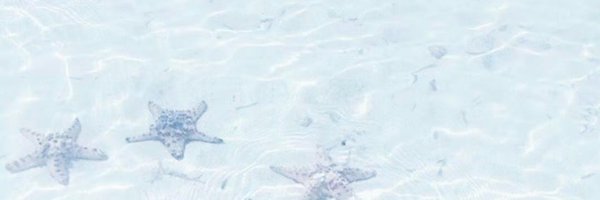 JonheeYoi Profile Banner