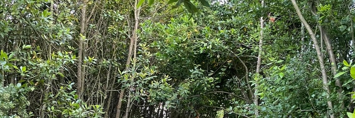 georgiarigueira's profile banner image