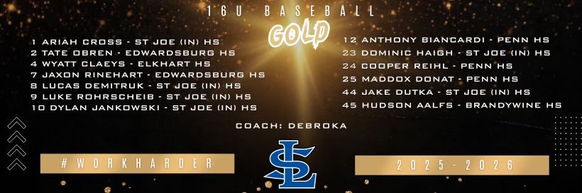 Landsharks 16U Gold 2028 banner