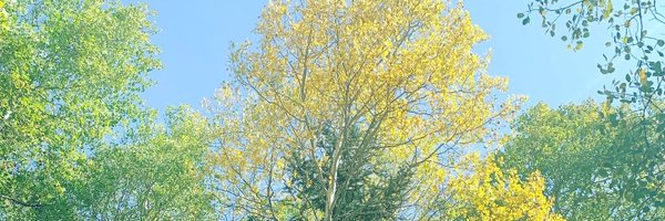 sarawsutton Profile Banner
