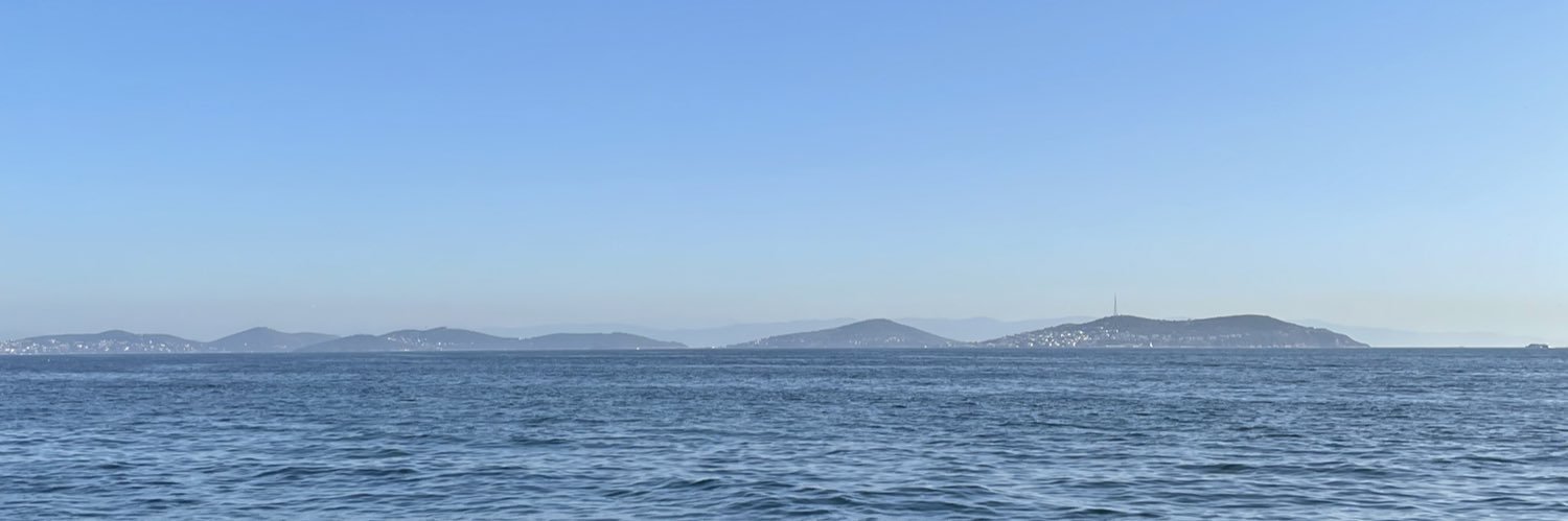 mehmet banner