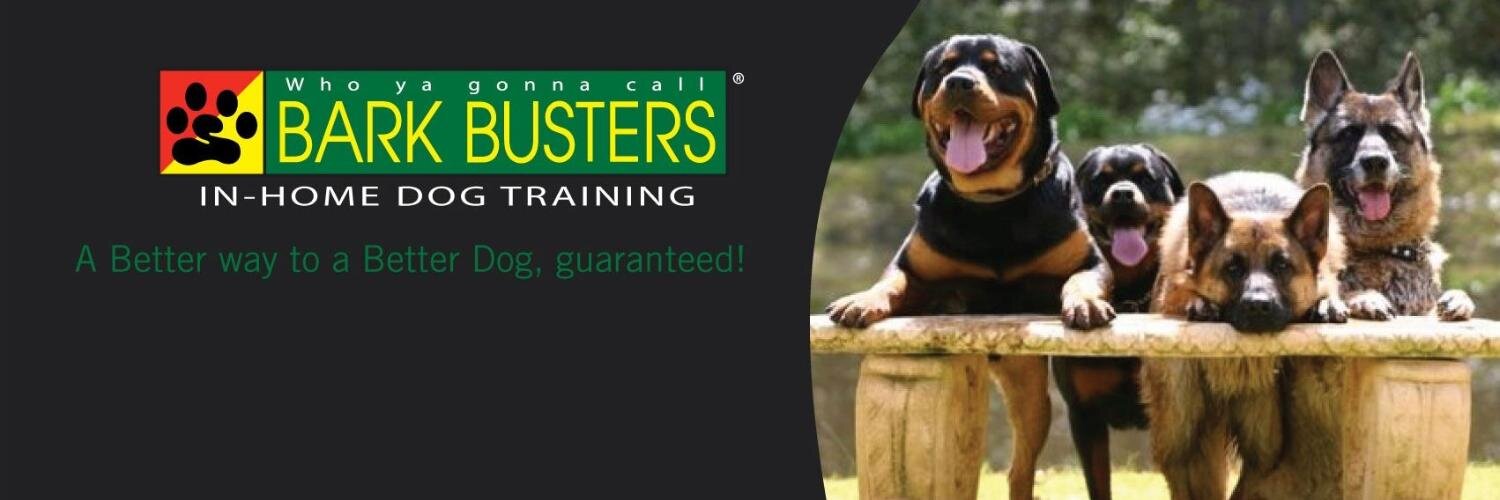 BarkBusters's profile banner image