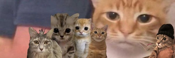 gow__Ty Profile Banner