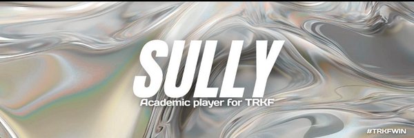 SullyFTN Profile Banner