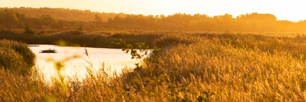 RSPB_OldMoor Profile Banner