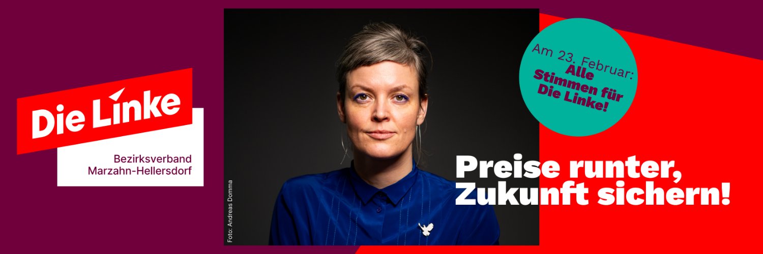 Die Linke MaHe's banner
