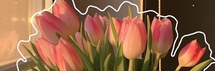 SiriWoman's profile banner image