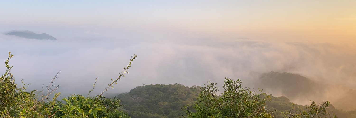 Romulus Whitaker banner