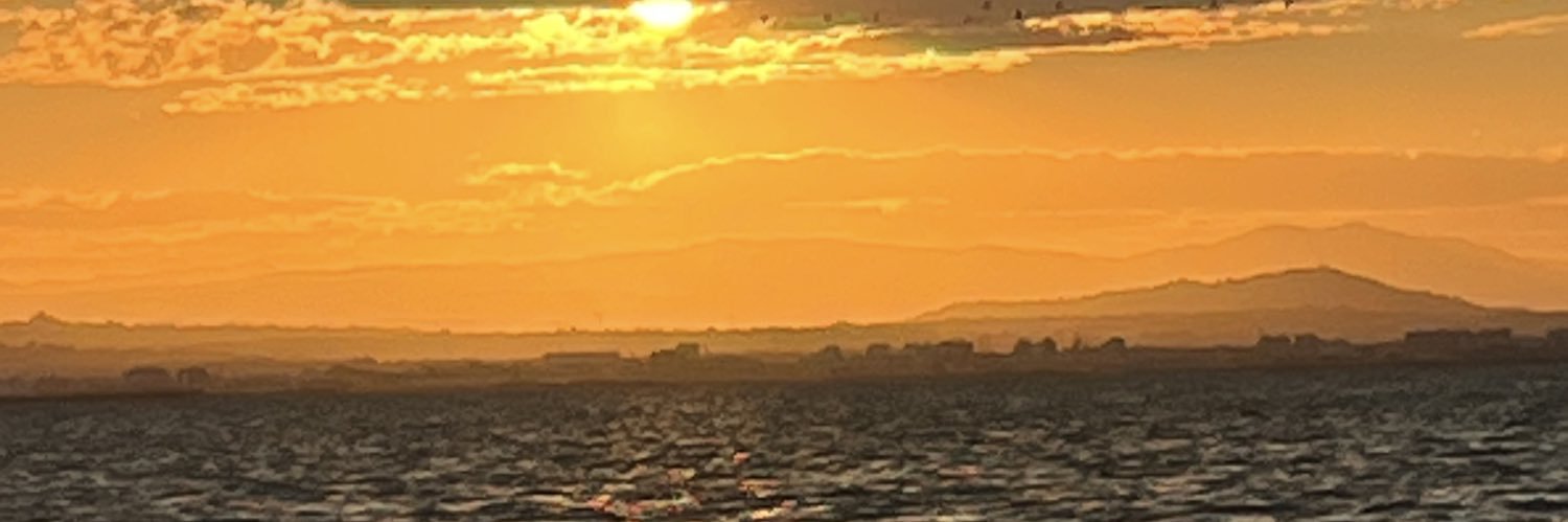 Elsa_Millet's profile banner image