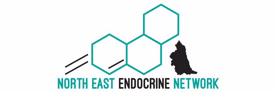 NE Endocrine Network banner