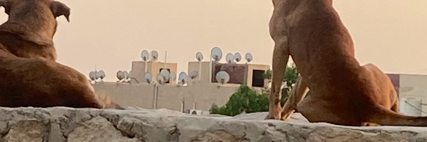عبد الرحمن banner