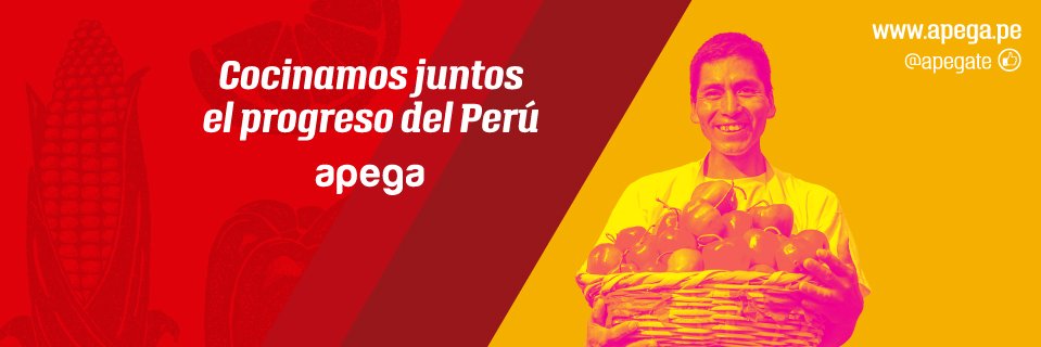 APEGA Perú banner
