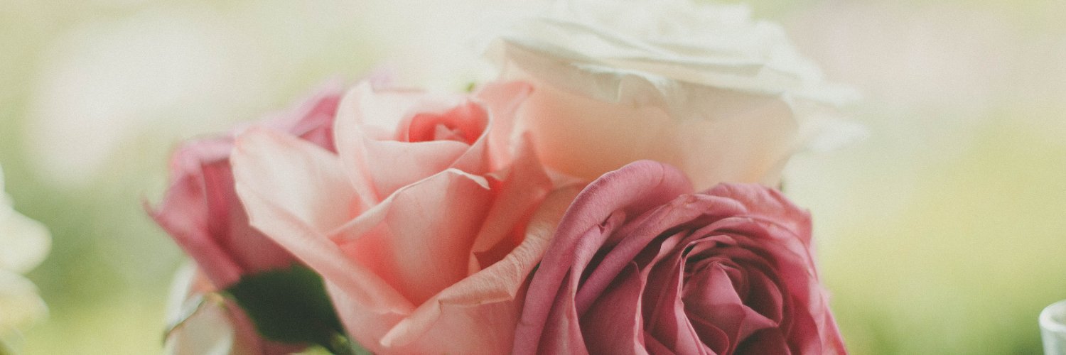 BrookePilcher's profile banner image