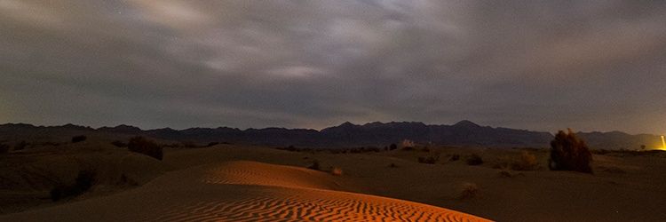 OJ banner